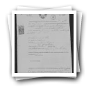 Pedido de passaporte de Joaquim da Silva                                                        