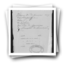 Pedido de passaporte de Manuel de Amaral