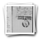 Pedido de passaporte de Delfina d'Andrade
