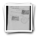 Pedido de passaporte de Virginia Custódia