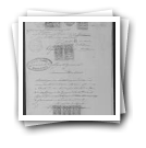 Pedido de passaporte de António Cândido                                                                                               